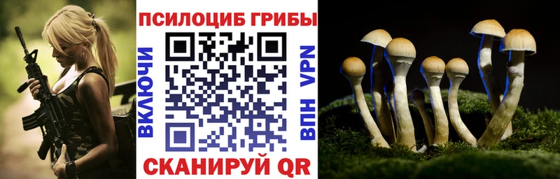 Галлюциногенные грибы мицелий  Купить  Новотитаровская 